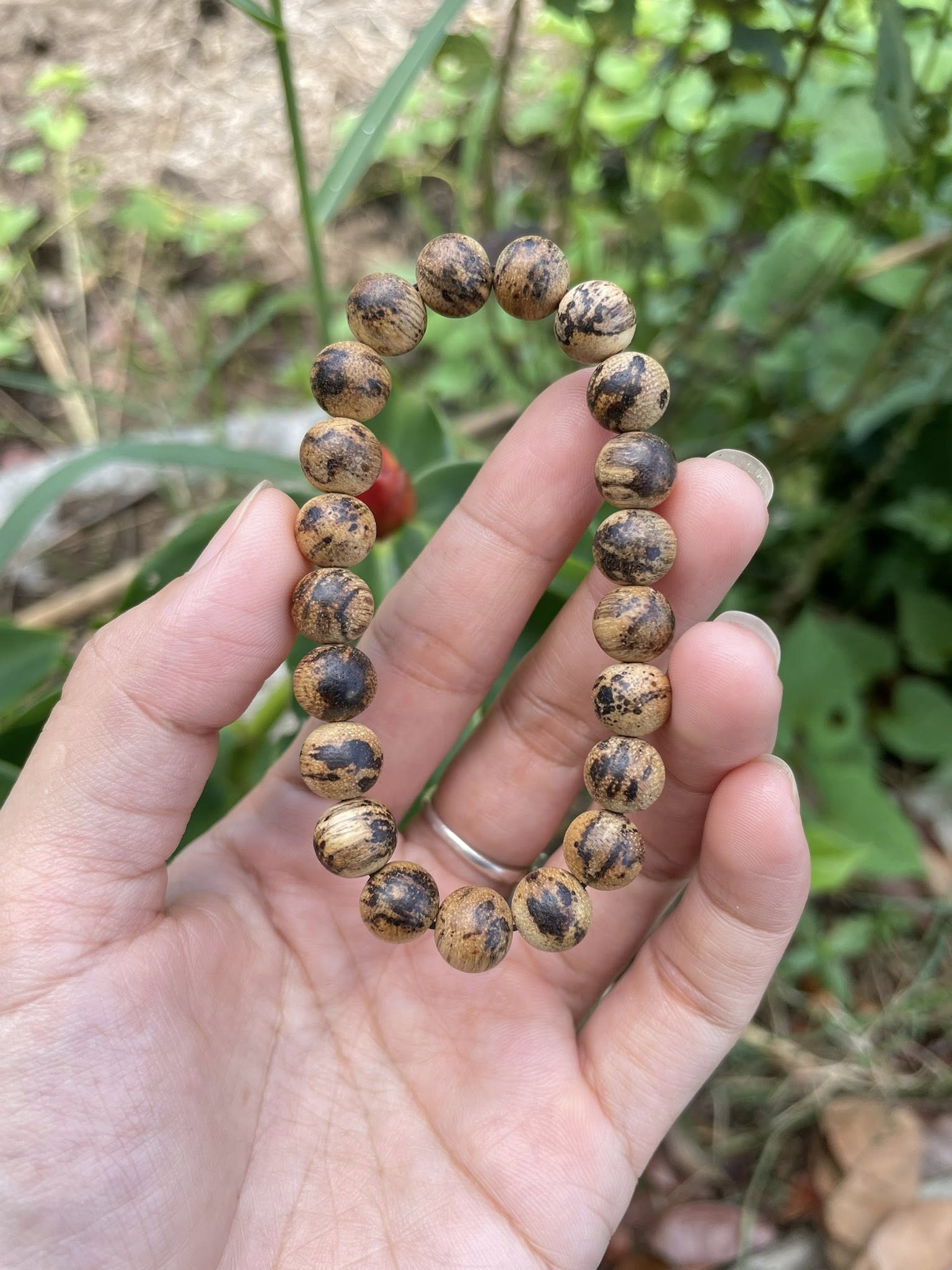 Hình ảnh chương 2