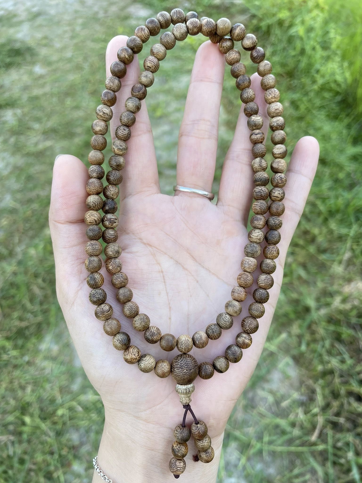 Hình ảnh chương 2